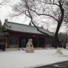 张京涛