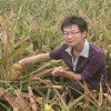 Janglee