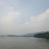 叶茂