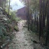 鸡毛掸子