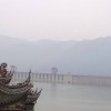 杨旭
