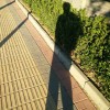 Eddie王智涵