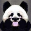 马睿彤
