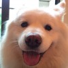 杰
