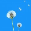 静待~花开