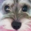 咕噜