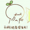 东东