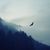 Jack_207