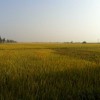 年轻小伙