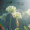 JUNE