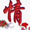 ✨随