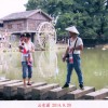 锋锋