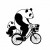 阿苗