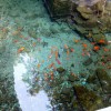 沐浴在阳光中