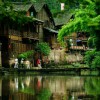 风飘万点