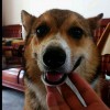 kelvin_827