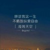 夜雨微凉
