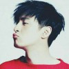 yingjie狮子