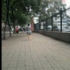 贾