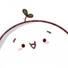 杨环