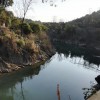 吴庆双