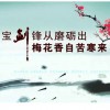 风中的秃子