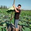 王宁