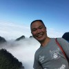 艾树叶