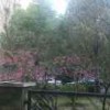 rainsnow