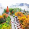 学无止境