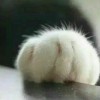 许璀璨