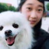 鴻葉飄～