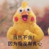Sky Talented_Z
