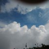 野狼