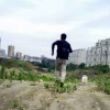 瓦尔登湖