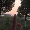 笑苍穹