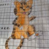 张峰