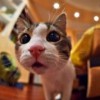 LikeStarrySky_194