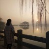 刘佳