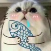 猫与周日庭院