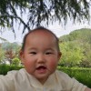 Danghui