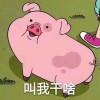 亚军
