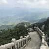 放牧蜗牛
