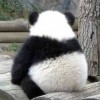 Jerry_171