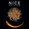NICE·数字艺术