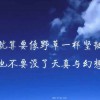 怀念不如相见