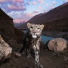 青春无悔