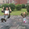 田义