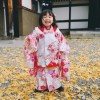 daisy_sept