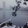 方明